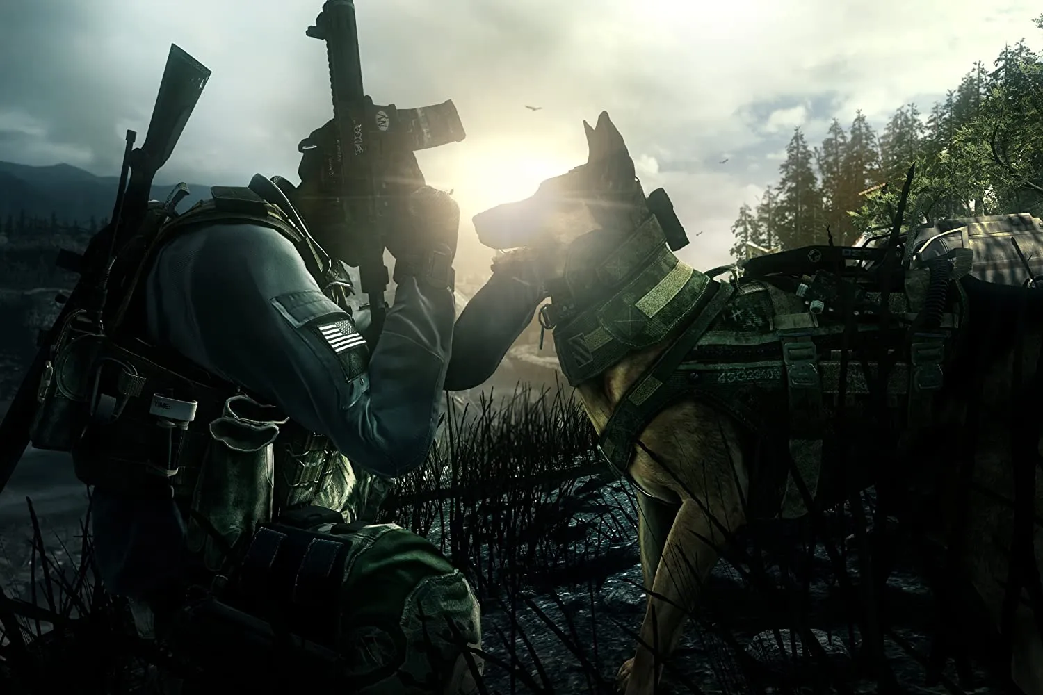 Call Of Duty Ghosts (PS4)
