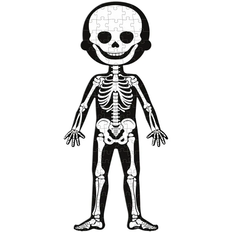 Educational Puzzle- Human Body