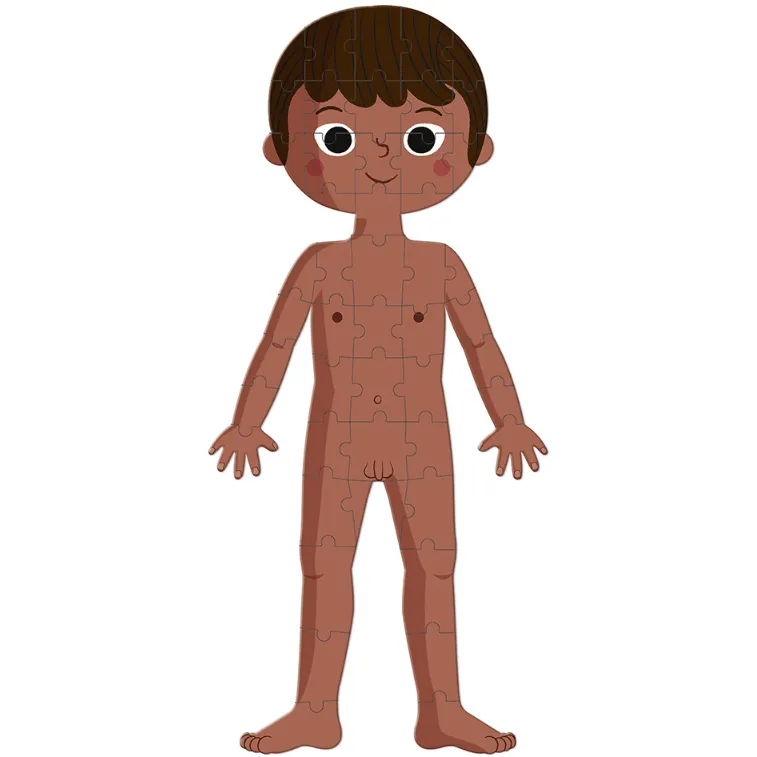 Educational Puzzle- Human Body