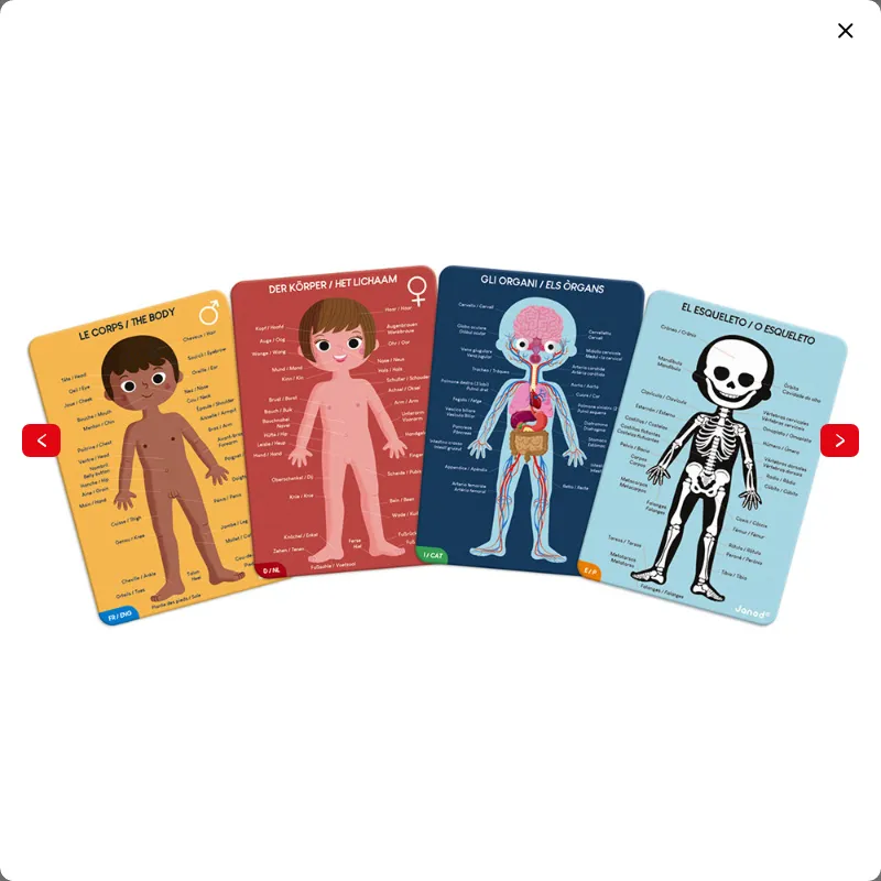 Educational Puzzle- Human Body