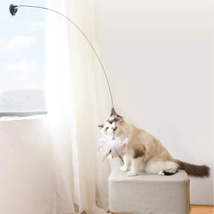Interactive Bird Simulation Cat Toy Set