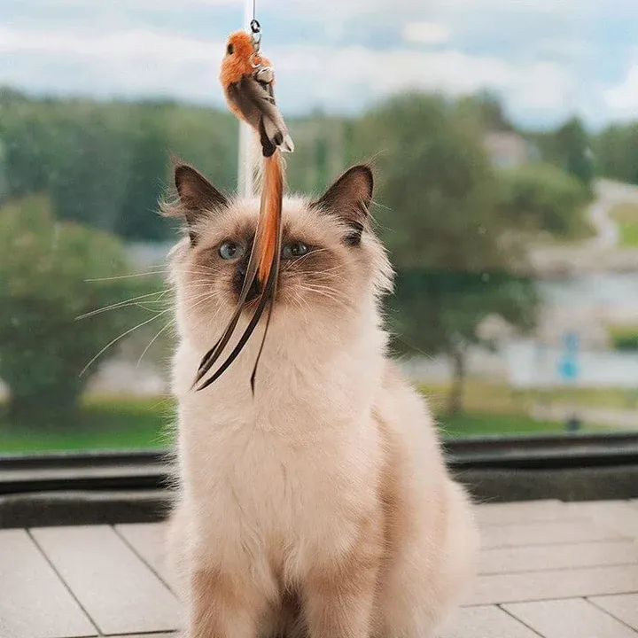 Interactive Bird Simulation Cat Toy Set