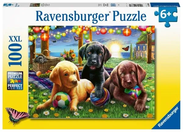Ravensburger Puppy Picnic 100pc