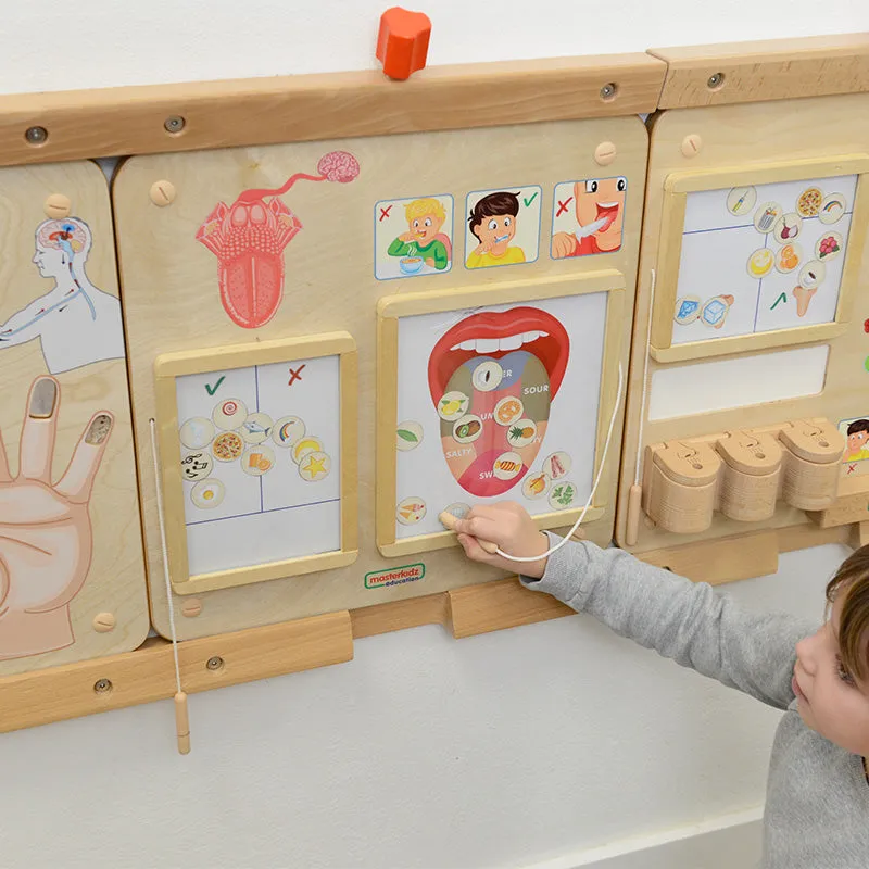 Sense of Taste Board Learning Educational Kid toys
