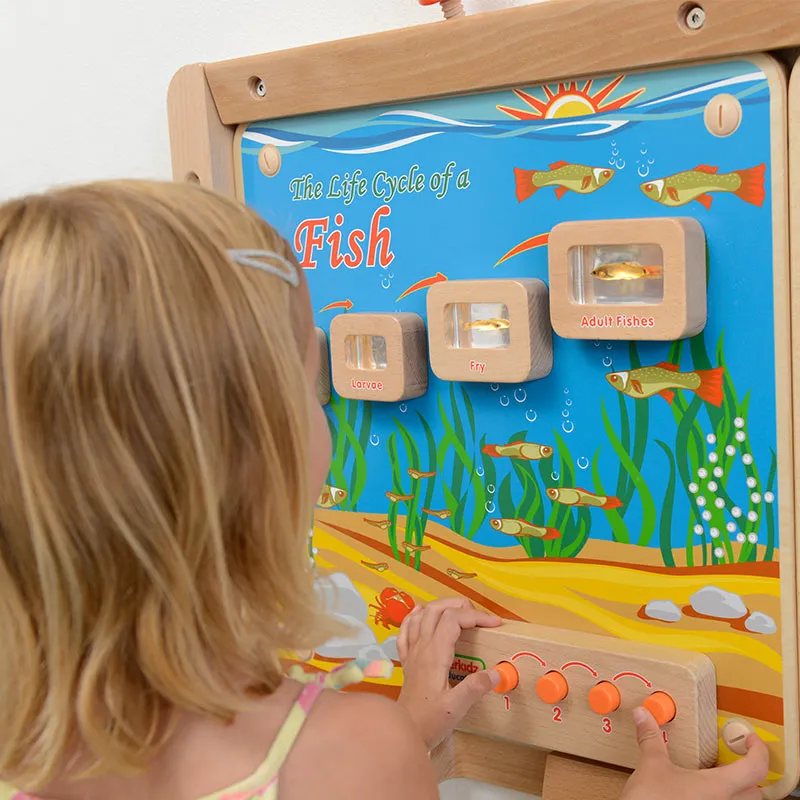 Wall Elements - Light-Up Fish Life Cycle Stages Panel