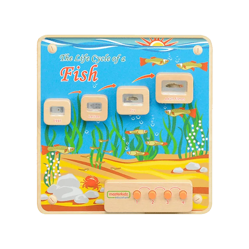 Wall Elements - Light-Up Fish Life Cycle Stages Panel