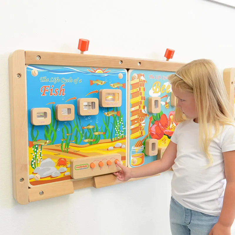 Wall Elements - Light-Up Fish Life Cycle Stages Panel