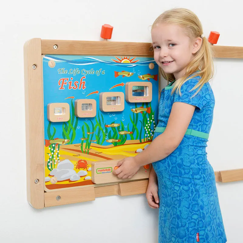 Wall Elements - Light-Up Fish Life Cycle Stages Panel
